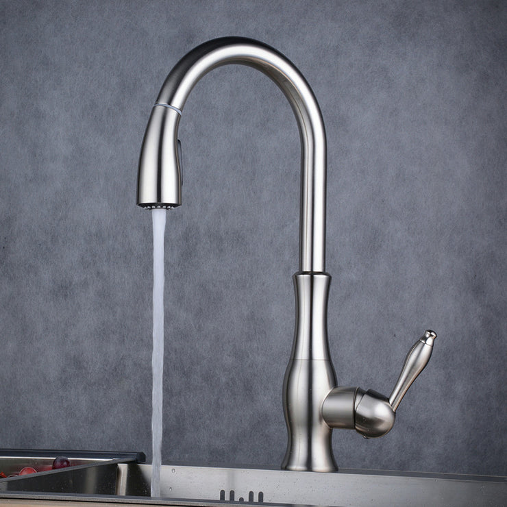 Tracier Gooseneck Single Lever Handle Kitchen Tap with Pull Out Spray