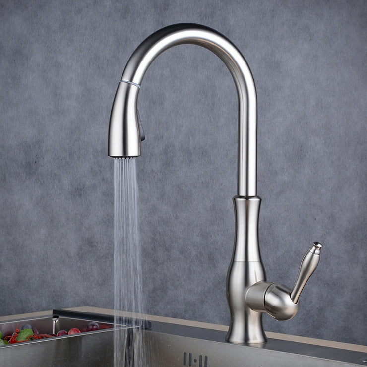 Tracier Gooseneck Single Lever Handle Kitchen Tap with Pull Out Spray