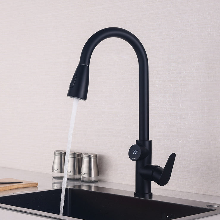 Single Handle Temperature Display Kitchen Tap With Pull Down Sprayer