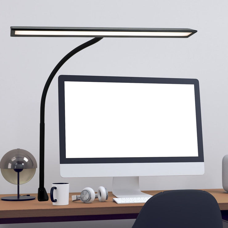 LED Double Head Desk Lamp