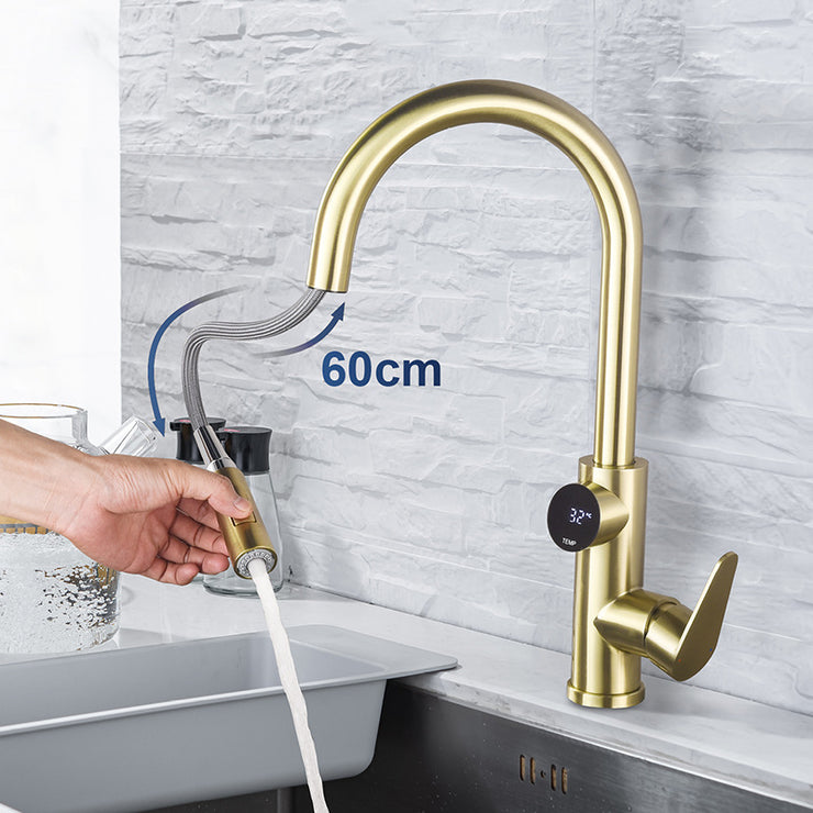 Single Handle Temperature Display Kitchen Tap With Pull Down Sprayer