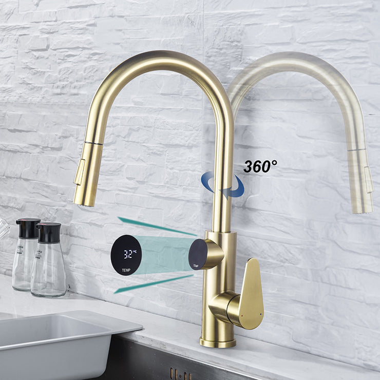 Single Handle Temperature Display Kitchen Tap With Pull Down Sprayer