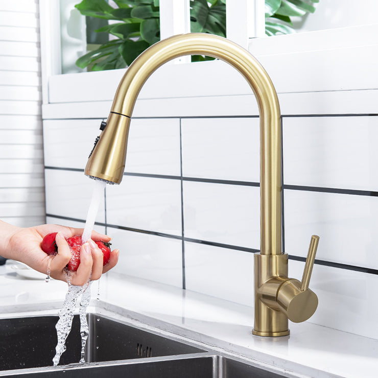 Pull Out Kitchen Tap Brushed Gold with Dual Function Sprayer