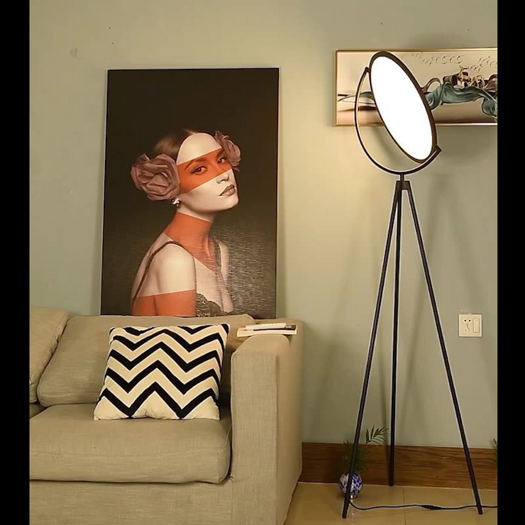 Halo Floor Lamp