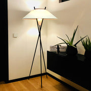 Tripod Hoka Floor Lamp