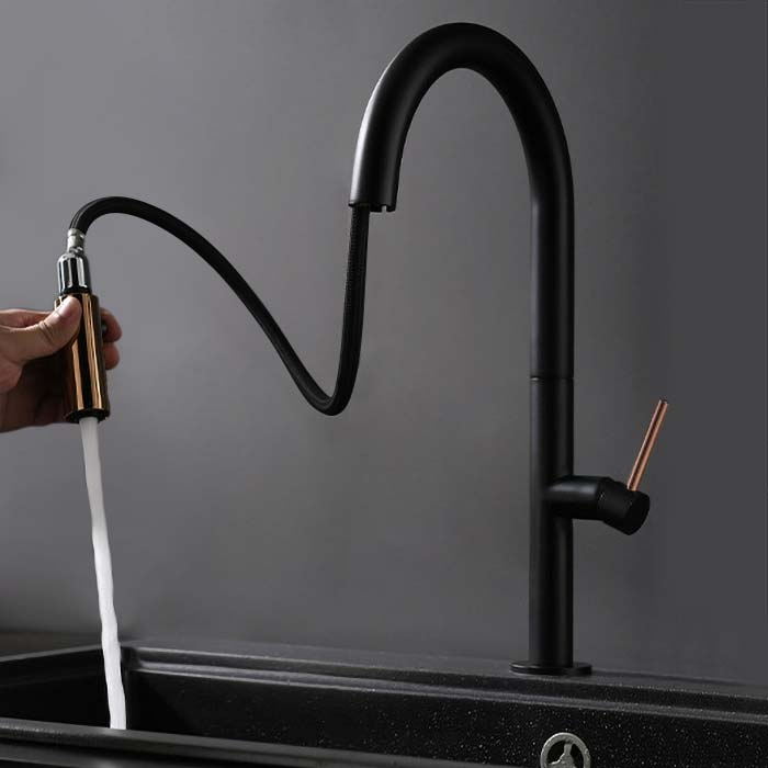 Simple Pull Down Kitchen Tap with Dual Function Single Lever Handle