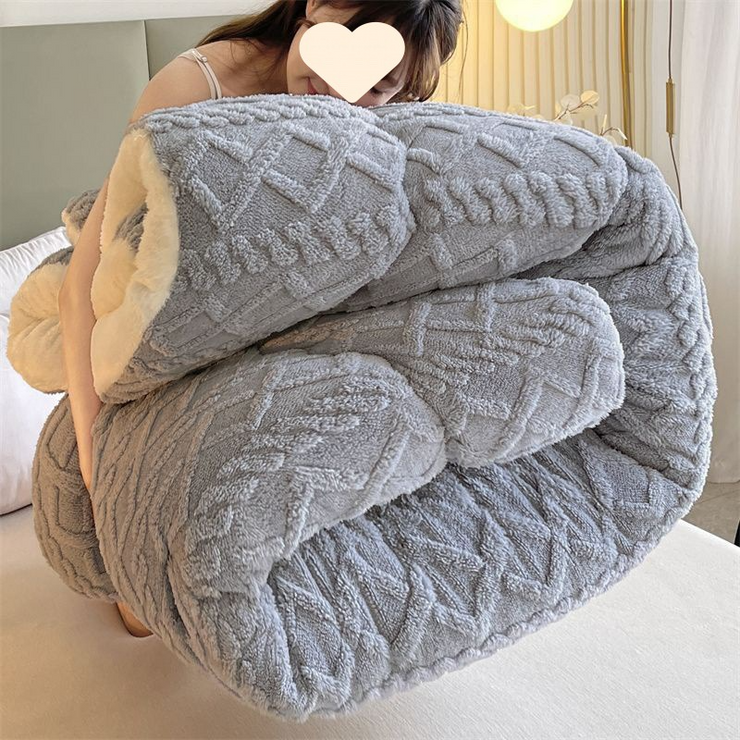 Soft Super Thick Winter Warm Blanket