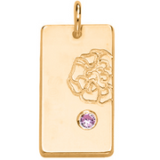 Birth Flower & Stone Necklace in 18ct Gold Plating